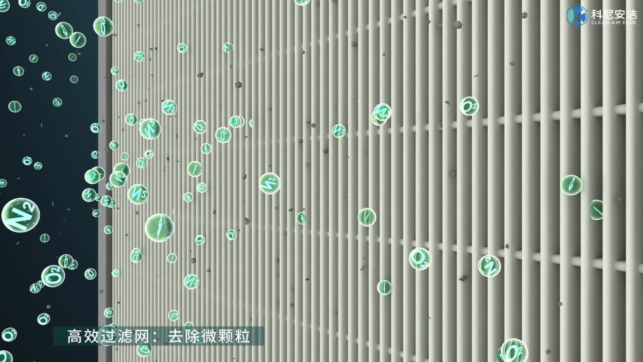上海缘仁