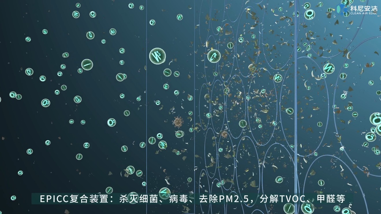 科尼安洁